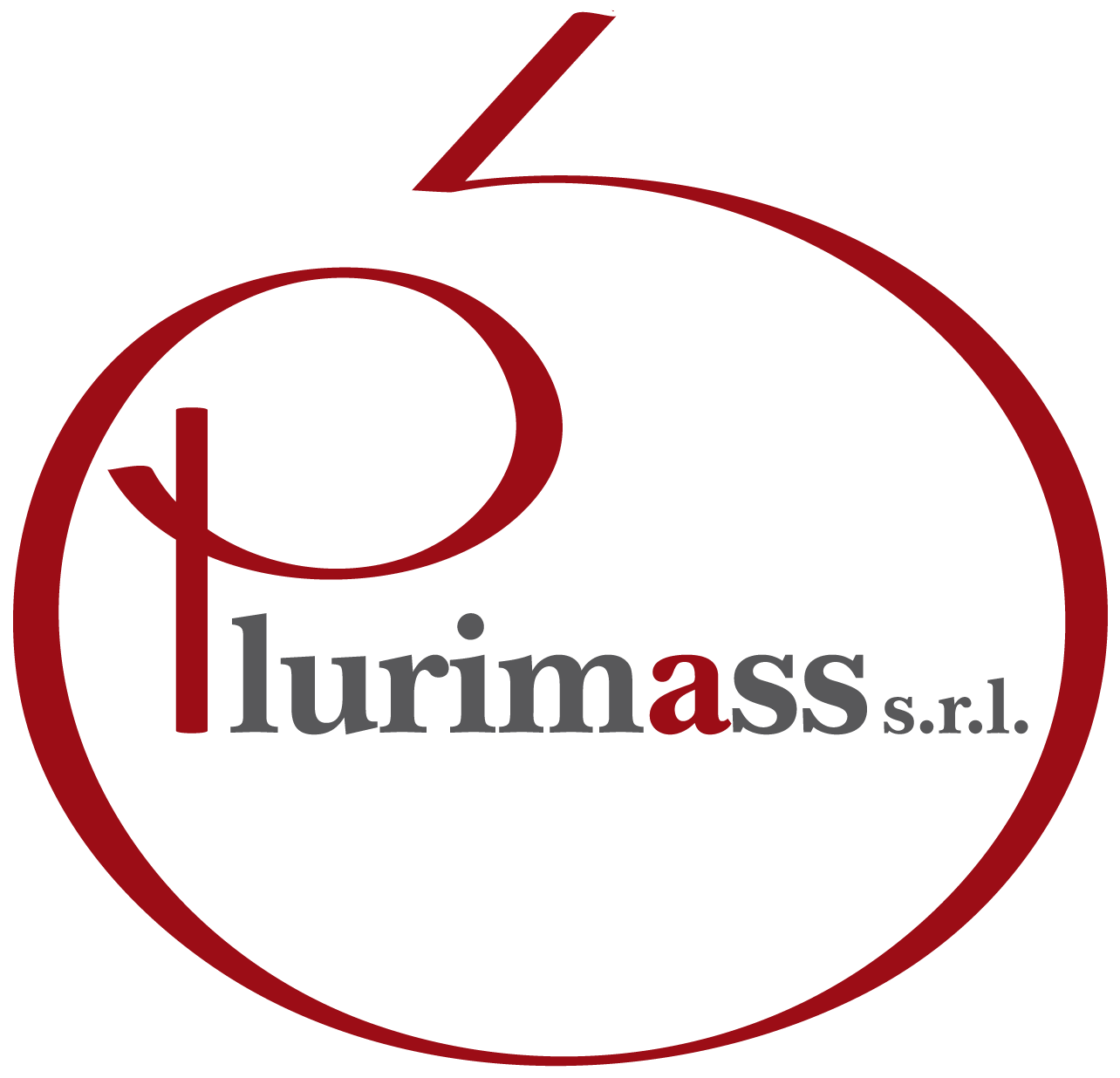 logo-plurimass-agenzia-assicurativa-plurimandataria